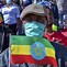 Image result for All Countries in the Second Congo War