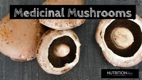 Image result for  Introduction to Medicinal Mushrooms in Cancer Treatment