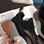 Image result for Stella McCartney Black and White Sneakers