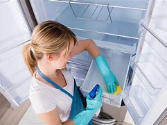 Image result for Clean the Refrigerator