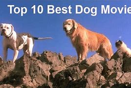 Image result for Cartoon Dog Movies