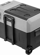 Image result for Portable Freezers On Wheels