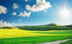 Image result for Amazing Day Pics