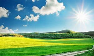 Image result for Sunny Day Banner