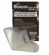 Image result for Beacon Chest Seal