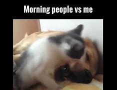 Image result for Morning People vs Me