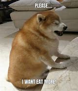 Image result for Fat Animals Funny Jokes