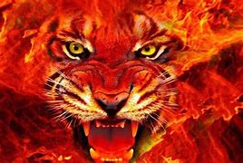 Image result for Awesome Tiger in Fire