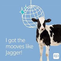 Image result for Cow Jokes