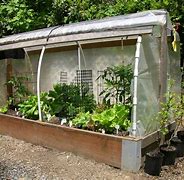Image result for Raised Bed Greenhouse
