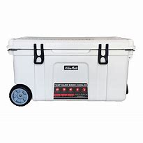 Image result for Upright Standing Ice Coolers