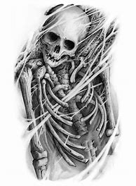 Image result for Skeleton Drawing