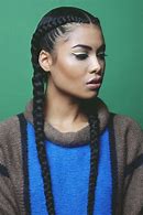 Image result for Two Braids Hairstyles