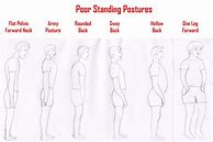 Image result for Human Standing Upright