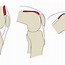 Image result for Left Lateral Knee Anatomy