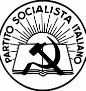 Image result for Italian Socialist Party Flag