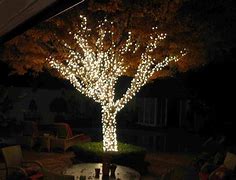 Image result for Christmas Tree Light Ideas Outdoor