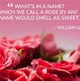 Image result for Cute Sayings About Flowers Brighten Your Day