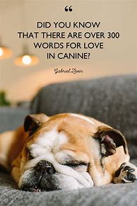 Image result for Cute Dog Lover Quotes