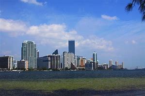 Image result for Miami Steve Van Zandt