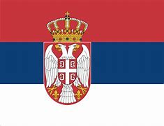 Image result for Serbian SS