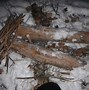 Image result for Snare with Spring On Both Ends Trapping