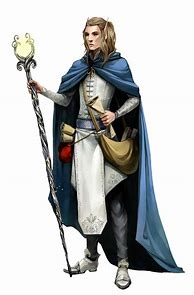 Image result for Male Elf Wizard