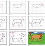 Image result for How Do You Draw a Realistic Lion