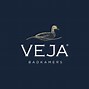 Image result for Veja Brand Logo