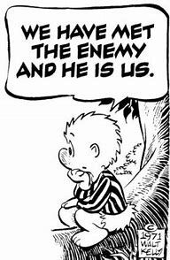 Image result for we have met the enemy and he is us