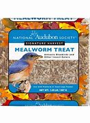 Image result for Mealworm Bird Feeder Cakes
