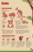 Image result for Australia Zoo Map