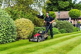 Image result for Garden Services