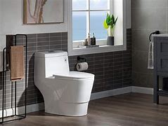 Image result for toilets