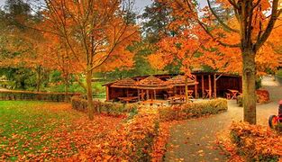 Image result for Amazing Autumn Wallpapers