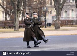 Image result for Latvian Military Formals