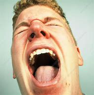 Image result for Screaming Person Face
