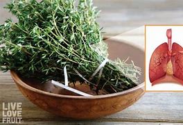 Image result for Herbs for Lungs
