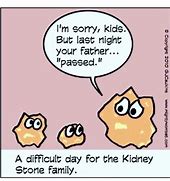 Image result for Kidney Jokes for Kids