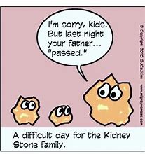 Image result for Funny Kidney Stone Pics
