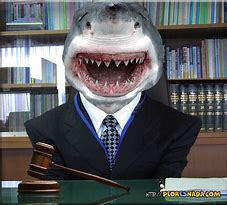 Image result for Shark Lawyer Jokes