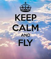 Image result for Keep Calm and Stay Fly