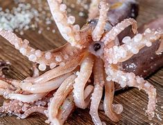 Image result for Actors in Squid Game