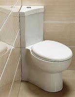 Image result for Corner Toilet
