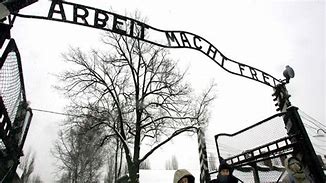 Image result for Auschwitz From Above