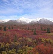 Image result for Alaska Autumn
