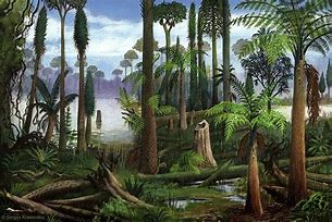 Image result for Carboniferous Plants