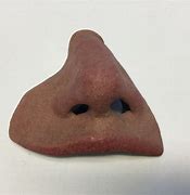 Image result for Prosthetic Nose