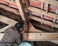 Image result for Cause of Attic Mold