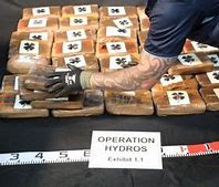 Image result for New Zealand recovers cocaine